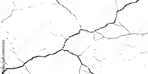 High-contrast cracked texture on a white background, featuring distressed lines and natural fracture patterns. Perfect for backgrounds, overlays, grunge design, and abstract artistic projects.