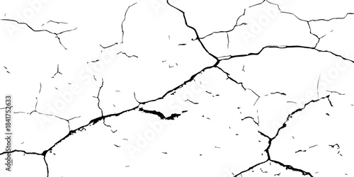 High-contrast cracked texture on a white background, featuring distressed lines and natural fracture patterns. Perfect for backgrounds, overlays, grunge design, and abstract artistic projects.