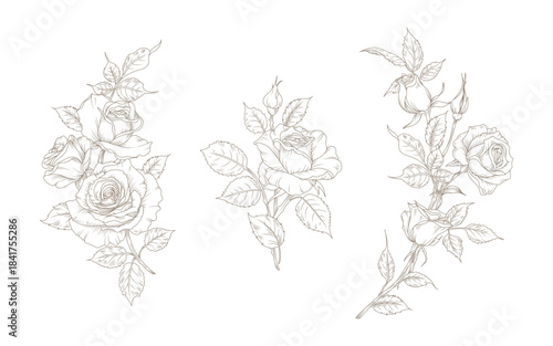 Roses. Hand drawn floral compositions in line art style. Elegant frame of flowers, stems and leaves. Vector botanical elements  for logo, tattoo, save the date card, wedding invitation