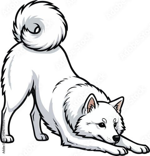 Japanese Spitz dog cute play bow pose illustration