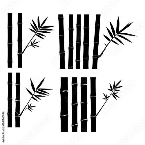 Fresh green bamboo stems lucky plant stalks  Asian-themed designs and wellness concepts