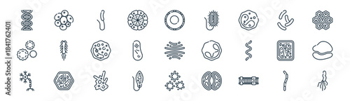 linear biology icon pack. vector thin line icons collection such as streptobacillus moniliformis, plant cell, cholerae vibrio, legionella, vacuole, ribosome, platelet, helicobacter pylori