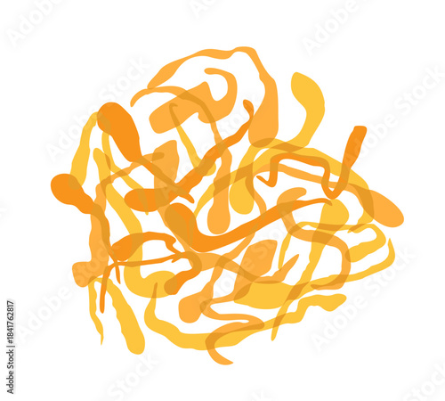 Cordyceps mushrooms. Vector isolated illustration
