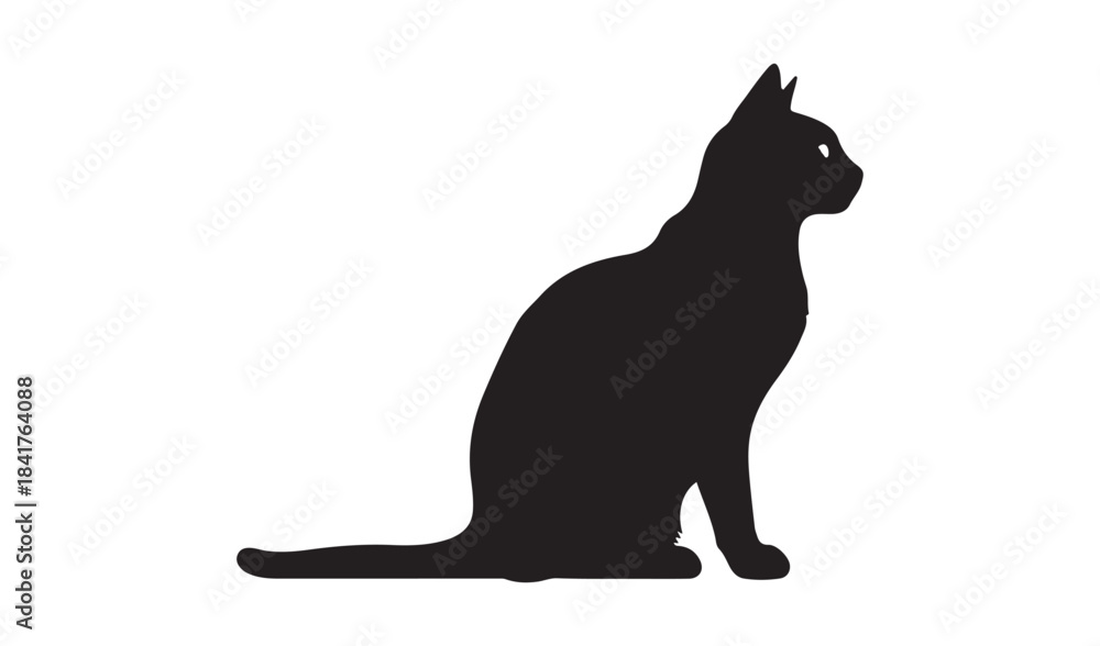Fototapeta premium Black cat silhouette sitting isolated on
