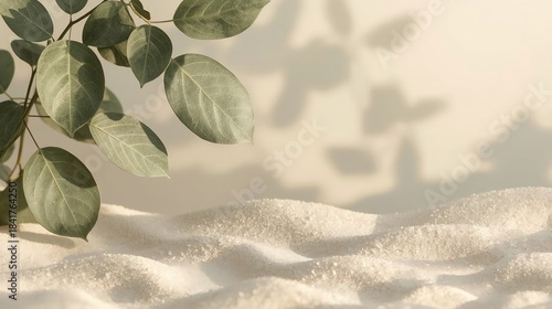 a natural calming composition with soft shadows and foliage. 