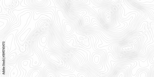 Abstract topography pattern seamless lines sea map modern design white background. Abstract digital topographic contour map concept space geometric strip grid line. Natural discovery of maps.