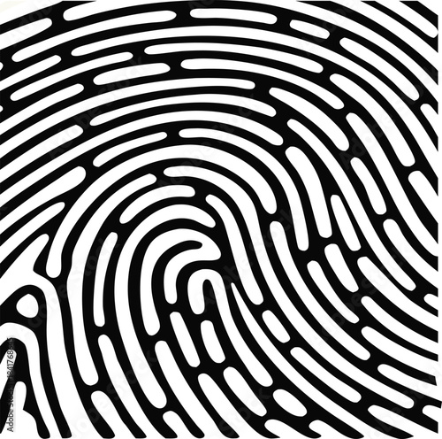 Black and White Close-up of a Fingerprint with Detailed Ridges and Valleys fingerprint pattern fingerprint scan