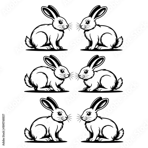 vector illustration of rabbits