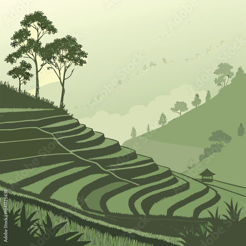 Serene green landscape with terraced rice fields and trees on rolling hills