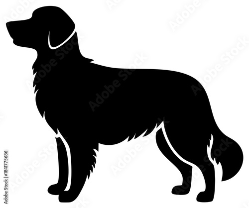 Dog silhouette standing, displaying its distinctive coat and regal posture in solid black.