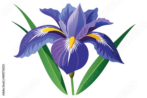 Captivating blue iris blooms vibrantly, adorned with yellow accents and standing elegantly with verdant leaves