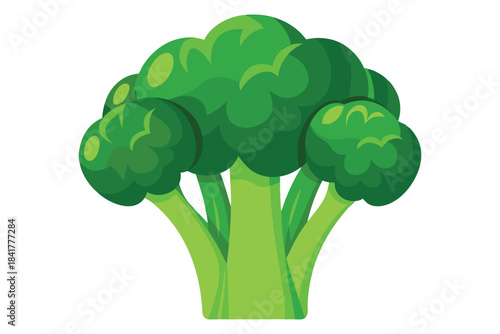 A fresh green broccoli vegetable stands boldly with its vibrant and inviting healthy floret