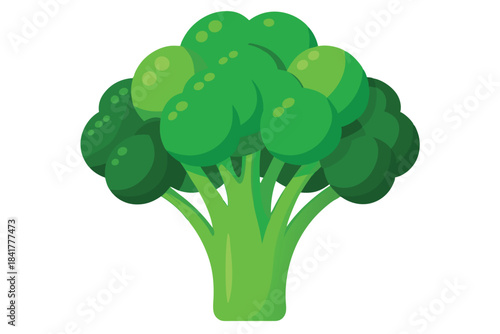 Bright green broccoli florets and stem are shown on a plain white backdrop here