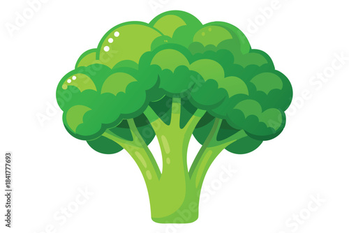 A vibrant green broccoli floret stands alone, presenting its fresh and crisp appearance on white