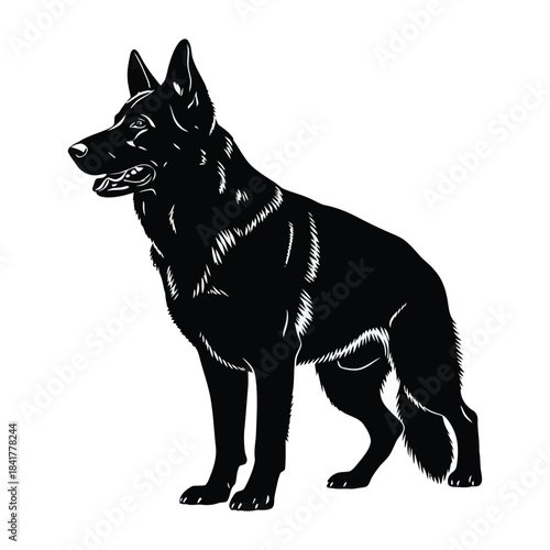 A striking black silhouette of an alert german shepherd dog standing in a side profile