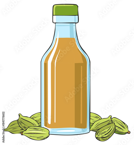 Bottle of Cardamom Infused Oil with Spice Pods in Front Still Life Illustration