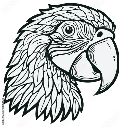 Detailed black and white illustration of a tropical parrot head