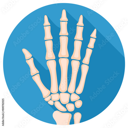 Human Hand Skeleton Bone Structure Icon Illustration Flat Design