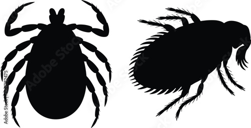 Parasitic insect silhouettes illustration, tick and flea, black shapes, entomology reference, pest control theme, vector graphic
