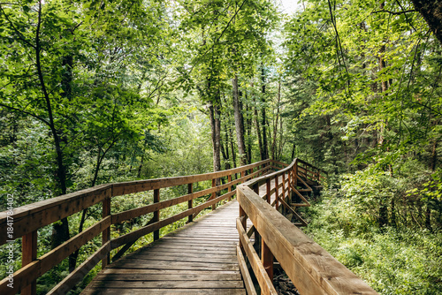 Wooden boardwalk in lush green forest at Parc des Chutes de la Petite Riviere Bostonnais, Quebec