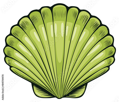 Stylized green seashell illustration, a vibrant and detailed cartoon-style design
