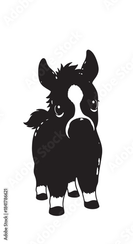 Silhouette of a small black and white dog standing facing forward with alert pose.