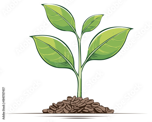 Fresh green coffee plant sprout emerging from roasted coffee beans illustration