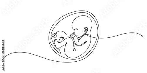 Baby embryo in womb one line drawing. Cute unborn fetus baby on mother womb isolated on white background, Baby embryo in womb in one continuous line drawing. Healthy pregnancy and premature symbol.