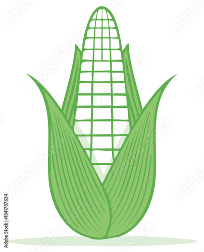 Stylized green corn cob with leaves