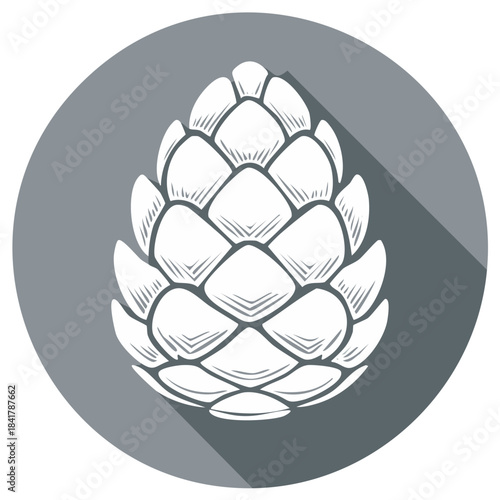 Stylized hop cone or pine cone icon with modern flat design and long shadow effect
