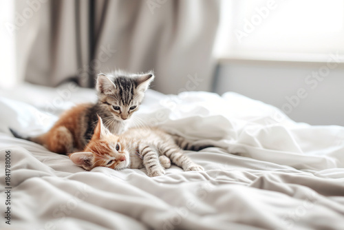 A pair of kittens, a red and a gray, sleep on a bed in a sunny room,