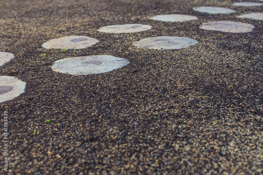 Fototapeta premium Seeding lawn grass in the garden. Selective focus.