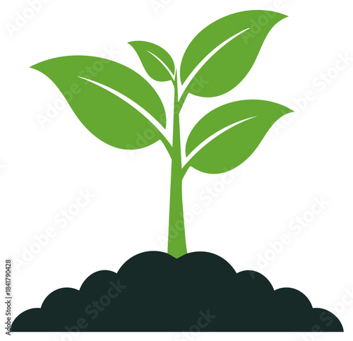 Green seedling growing from dark soil symbolizing new beginnings and growth