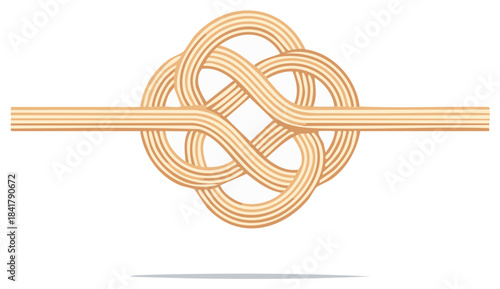 Intertwined Rope Knot Illustration
