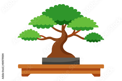 bonsai tree vector