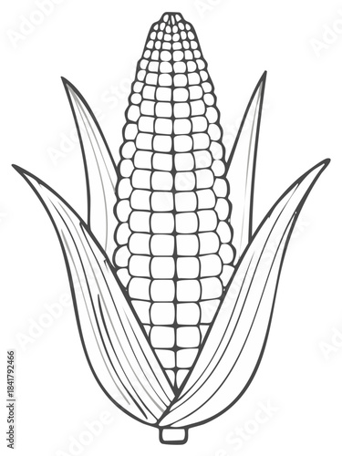 Black and white line art illustration of an ear of corn with husk leaves