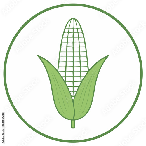 Corn Icon Design with Leaves in Green Circle Food and Harvest Symbol Farming Imagery