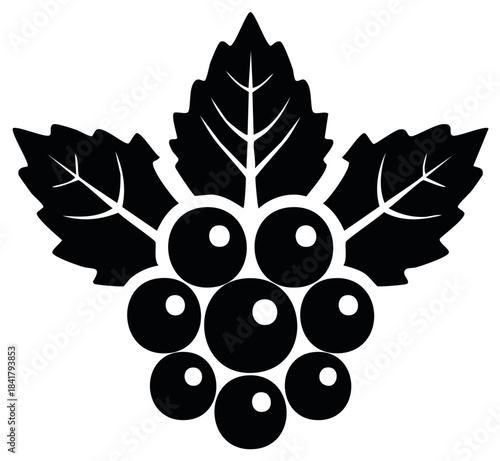 Stylized black and white grapes with leaves illustration for design and decoration