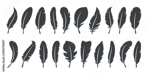Feather silhouettes. Flat style icons, goose or dove bird soft plumage black elements, isolated monochrome simple objects for graphic design, natural decorative items, classy vector set