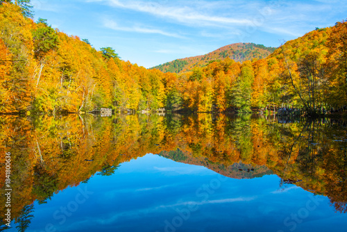 The view of the lake in the forest with its reflection