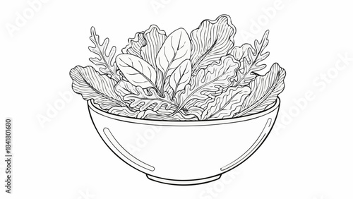 Hand drawn sketch of fresh mixed salad greens in a bowl, black and white line art
