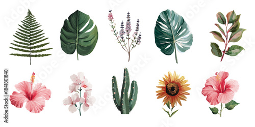 Collection of watercolor botanical illustrations featuring tropical leaves flowers and cacti on white background