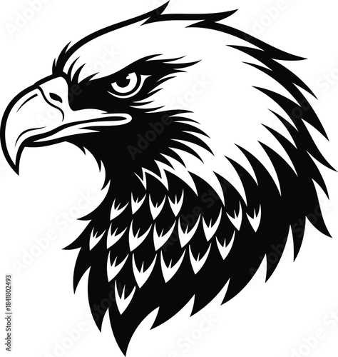 Eagle head fierce raptor portrait detailed vector illustration
