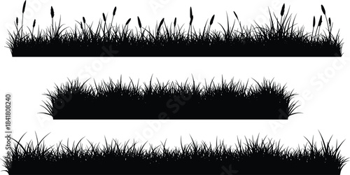 Grass silhouette illustration, wild and dense blades, black strips, nature border, vector art, cad drawing flat vector illustration