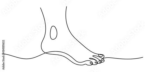 Continuous line drawing of an elegant human foot, showcasing the graceful contour and delicate anatomical structure, minimalist art on a simple white background. Vector, illustration