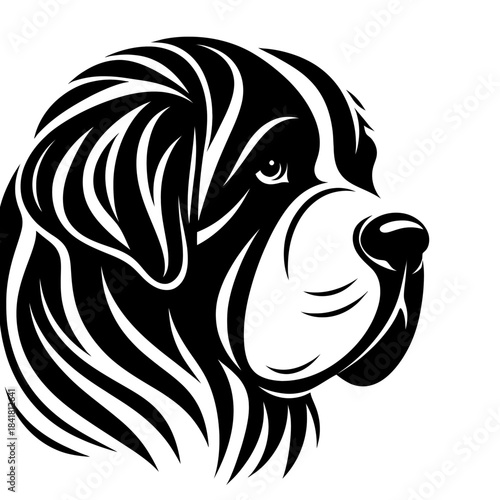 Saint Bernard dog side view vector. Diversity of breeds, pet and friend for human. Vet clinic professional services, grooming salon and dog food decoration. Gentle nanny dog