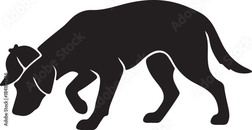 Black Silhouette of a Dog Wearing a Hat Walking on All Fours