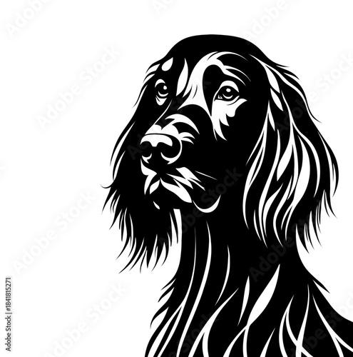 Irish setter dog side view vector. Diversity of breeds, pet and friend for human. Vet clinic professional services, grooming salon and dog food decoration