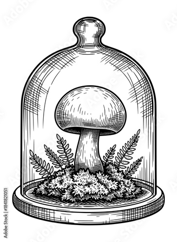 Mushroom Terrarium Under Glass Dome. Vintage Black and White Ink Illustration with Detailed Hatching.
