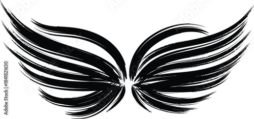 Decorative Angel Wings Artistic Illustration
